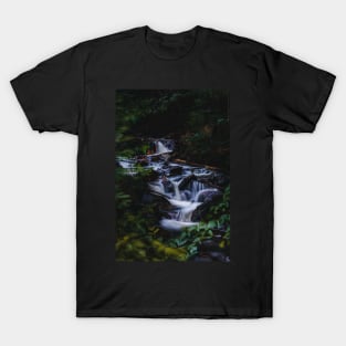 Whispers of the Woods: Secrets of a Cascade V6 T-Shirt